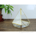 Terrarium en verre géométrique succulent pour mariage en or